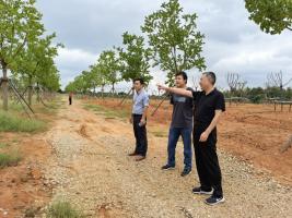 市農(nóng)發(fā)集團(tuán)公司紀(jì)委書記萬(wàn)福興實(shí)地督查項(xiàng)目建設(shè)情況